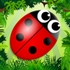 Bug Match